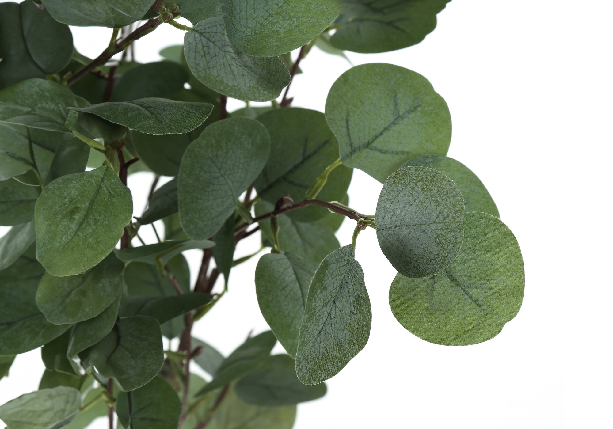 ARTIFICIAL PLANT - 46"H / INDOOR EUCALYPTUS TREE/ 5" POT-Artificial Plant-DECOROLALA