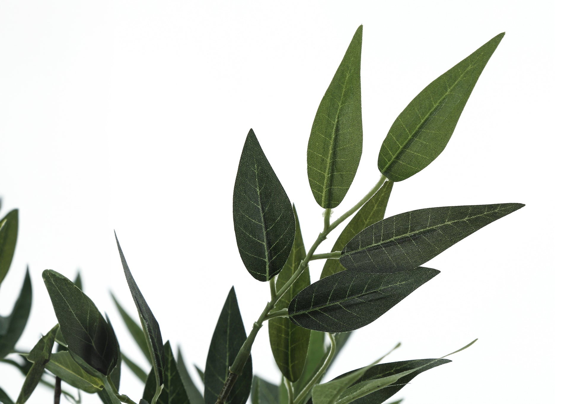 ARTIFICIAL PLANT - 47"H / INDOOR ACACIA TREE IN A 5" POT-Artificial Plant-DECOROLALA