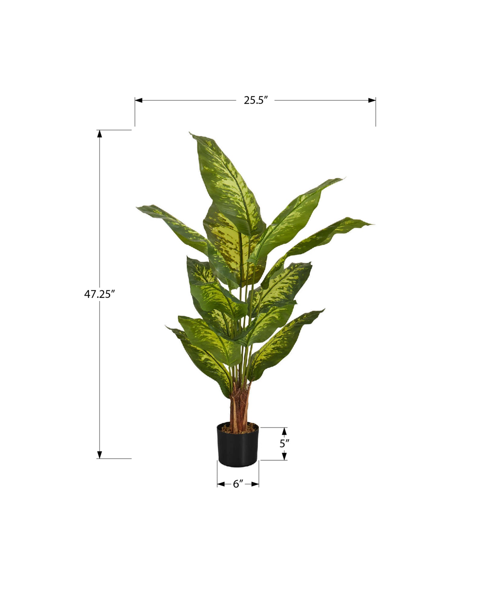 ARTIFICIAL PLANT - 47"H / INDOOR EVERGREEN IN A 5" POT-Artificial Plant-DECOROLALA