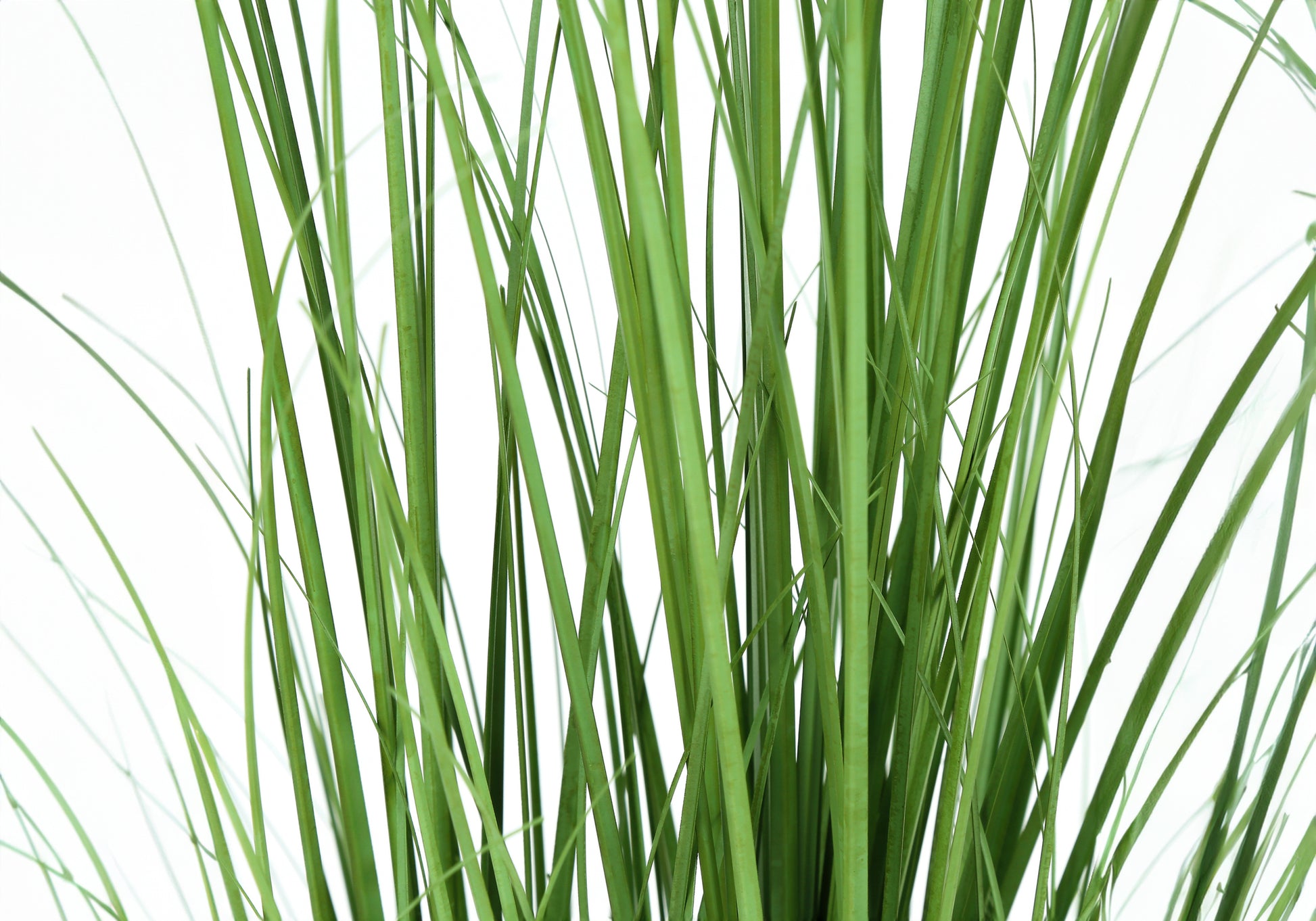 ARTIFICIAL PLANT - 47"H / INDOOR GRASS IN A 5" POT-Artificial Plant-DECOROLALA