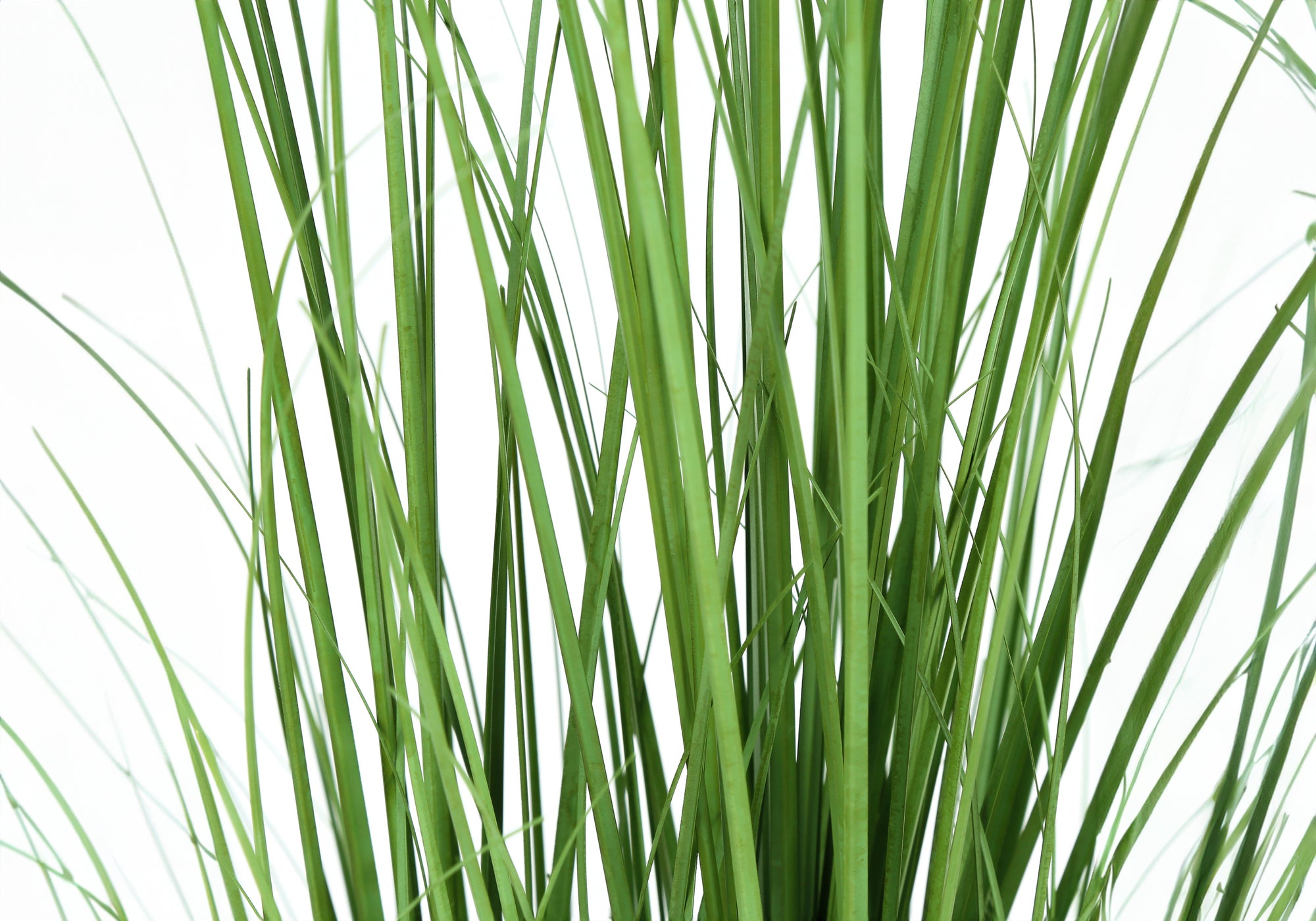 ARTIFICIAL PLANT - 47"H / INDOOR GRASS IN A 5" POT-Artificial Plant-DECOROLALA