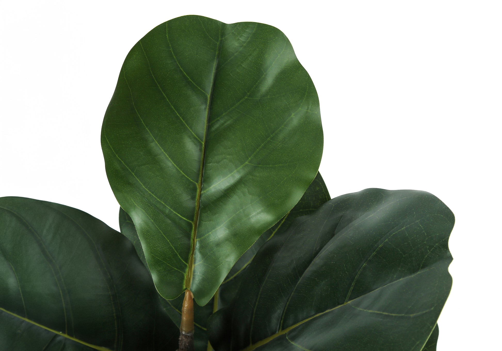 ARTIFICIAL PLANT - 49"H / INDOOR FIDDLE TREE IN A 5" POT-Artificial Plant-DECOROLALA