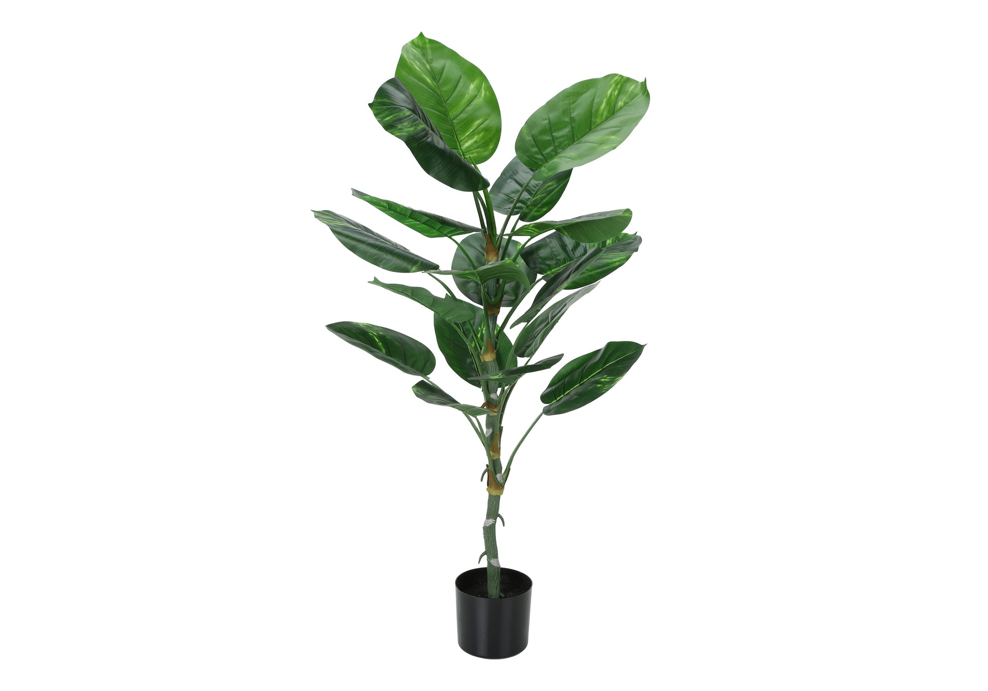 ARTIFICIAL PLANT - 54"H / INDOOR DIEFFENBACHIA / 6" POT-Artificial Plant-DECOROLALA