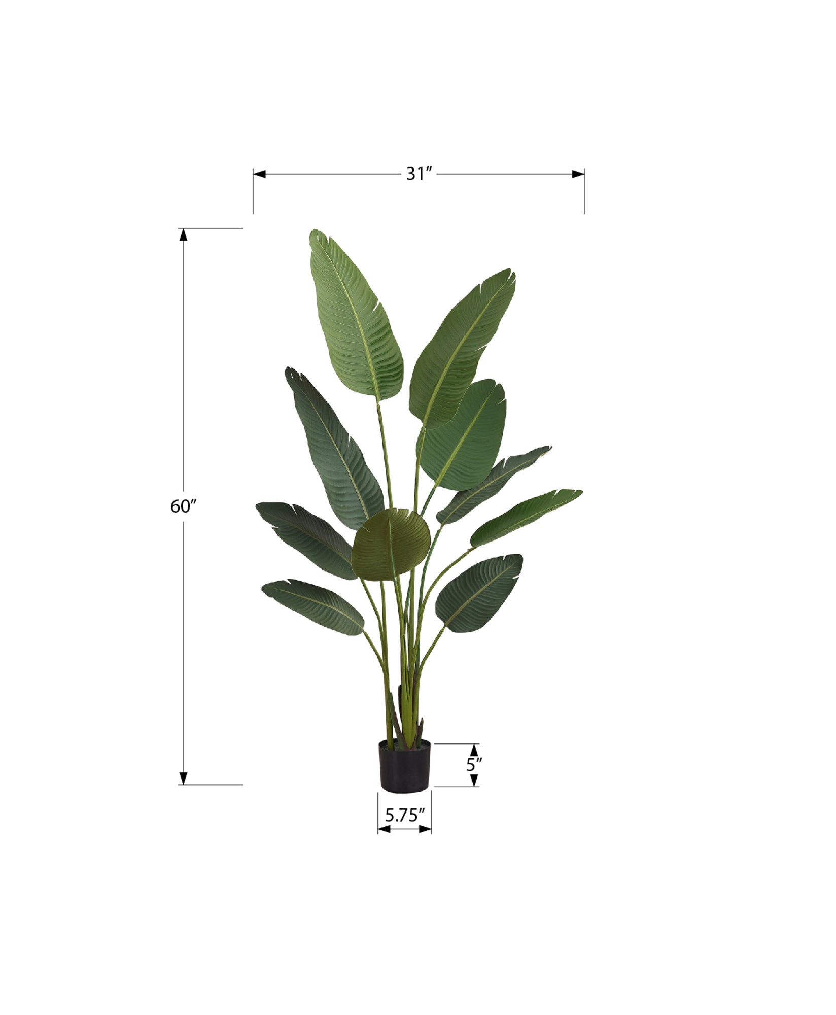 ARTIFICIAL PLANT - 60"H / INDOOR BIRD OF PARADISE 5" POT-Artificial Plant-DECOROLALA