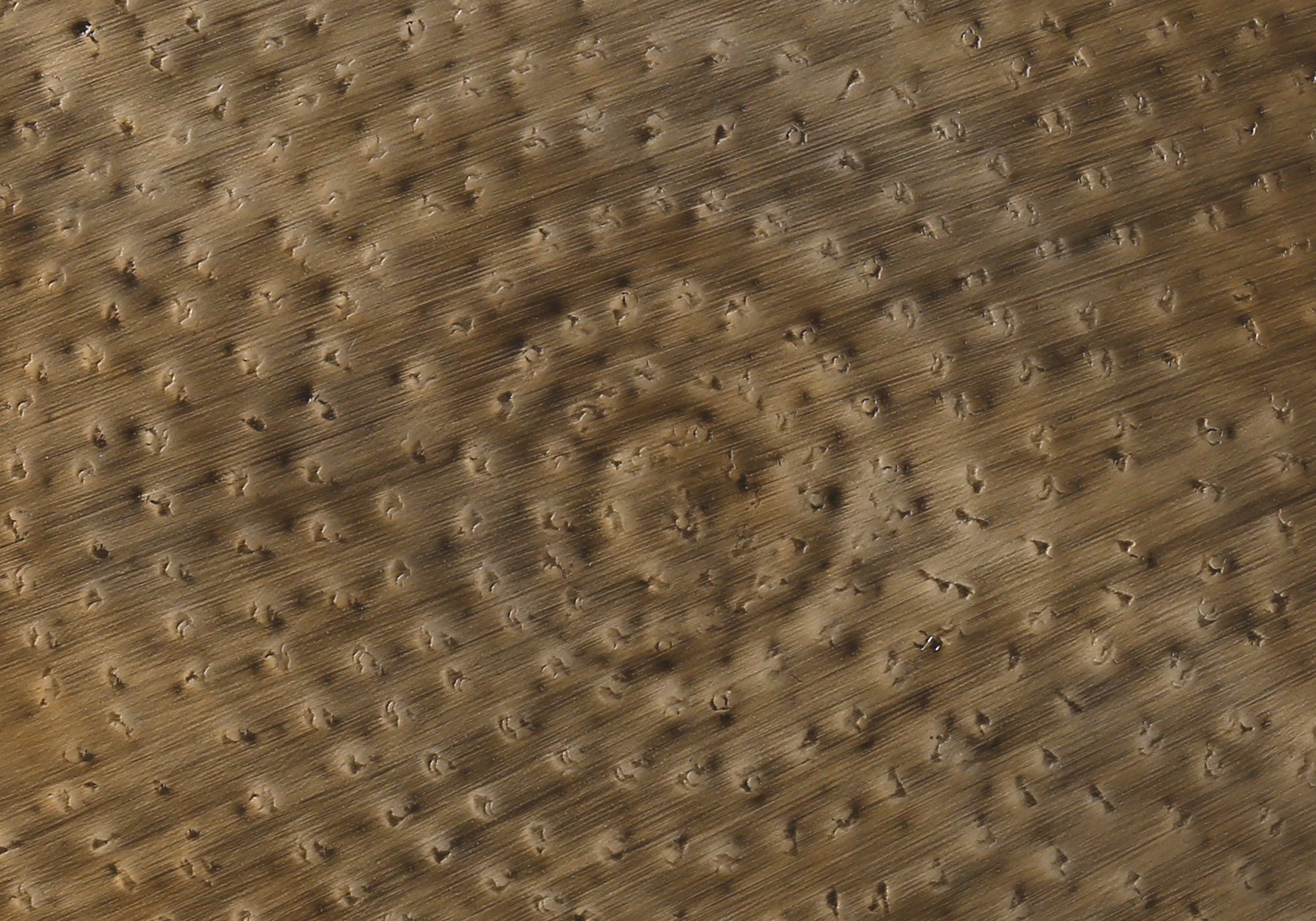 Accent Table - 22"H / Gold Iron Metal Drum End-Accent Table-DECOROLALA