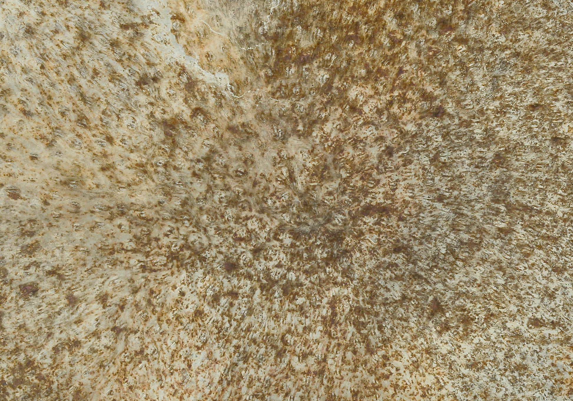 Accent Table - 22"H / Iron Metal End Table-Accent Table-DECOROLALA