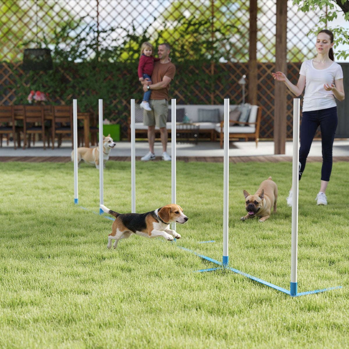 Adjustable Dog Agility Weave Poles Set with Storage Bag - Blue/White-Dogs-DECOROLALA