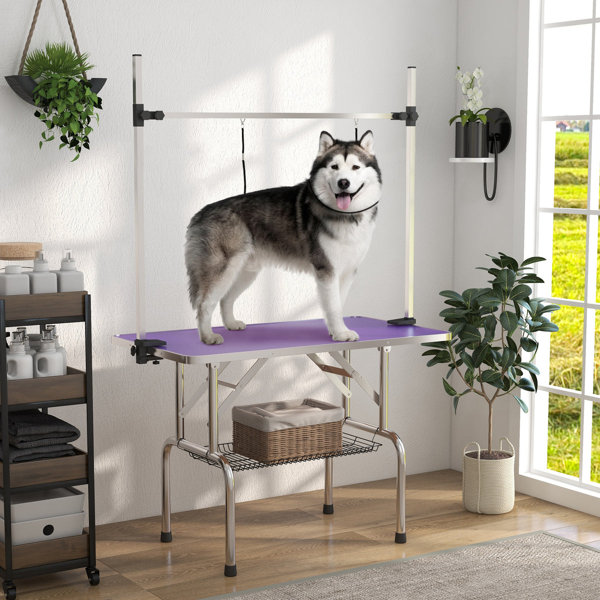 Adjustable Dog Grooming Table - Purple 43" with Storage Basket-Dogs-DECOROLALA