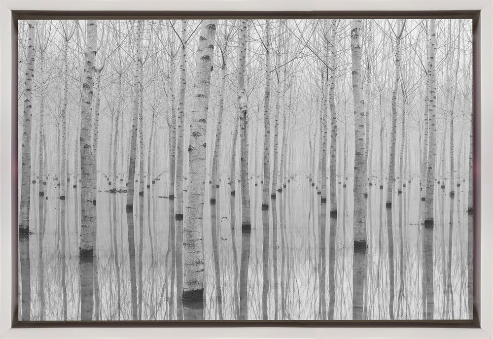 Aglioni Simone Wall Art Novembre 2014-canvas-DECOROLALA