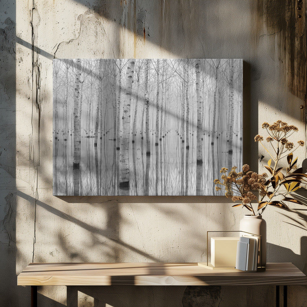 Aglioni Simone Wall Art Novembre 2014-canvas-DECOROLALA