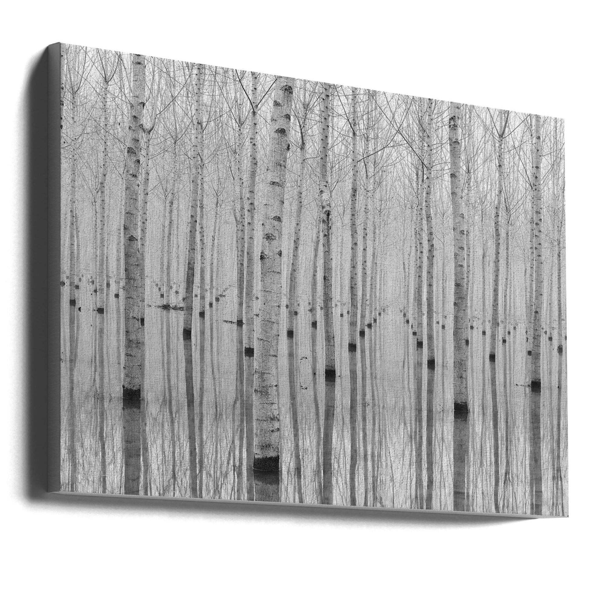 Aglioni Simone Wall Art Novembre 2014-canvas-DECOROLALA