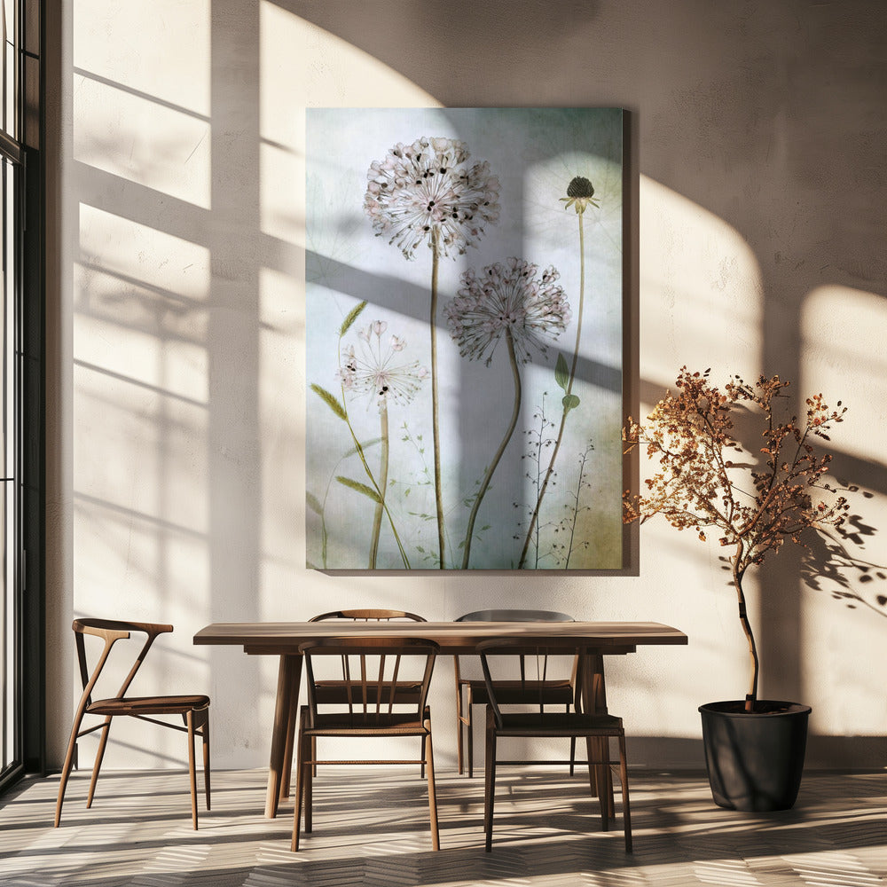 Allium Wall Art by Mandy Disher-canvas-DECOROLALA