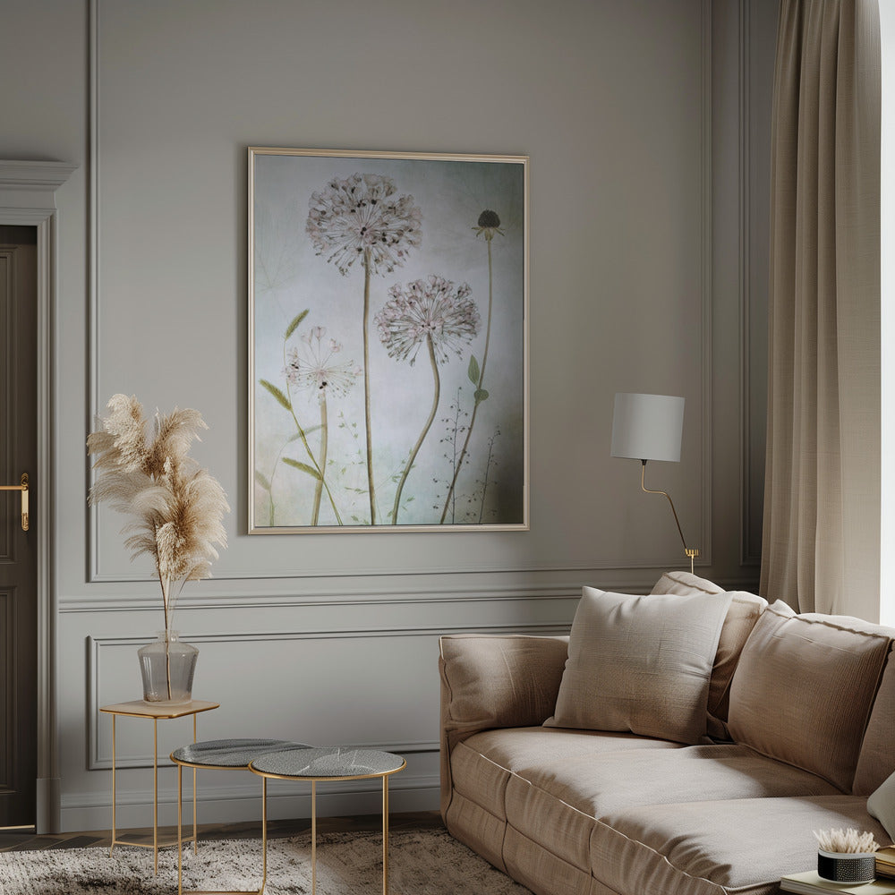 Allium Wall Art by Mandy Disher-canvas-DECOROLALA