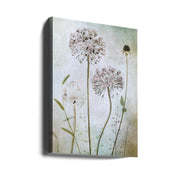 Allium Wall Art by Mandy Disher-canvas-DECOROLALA