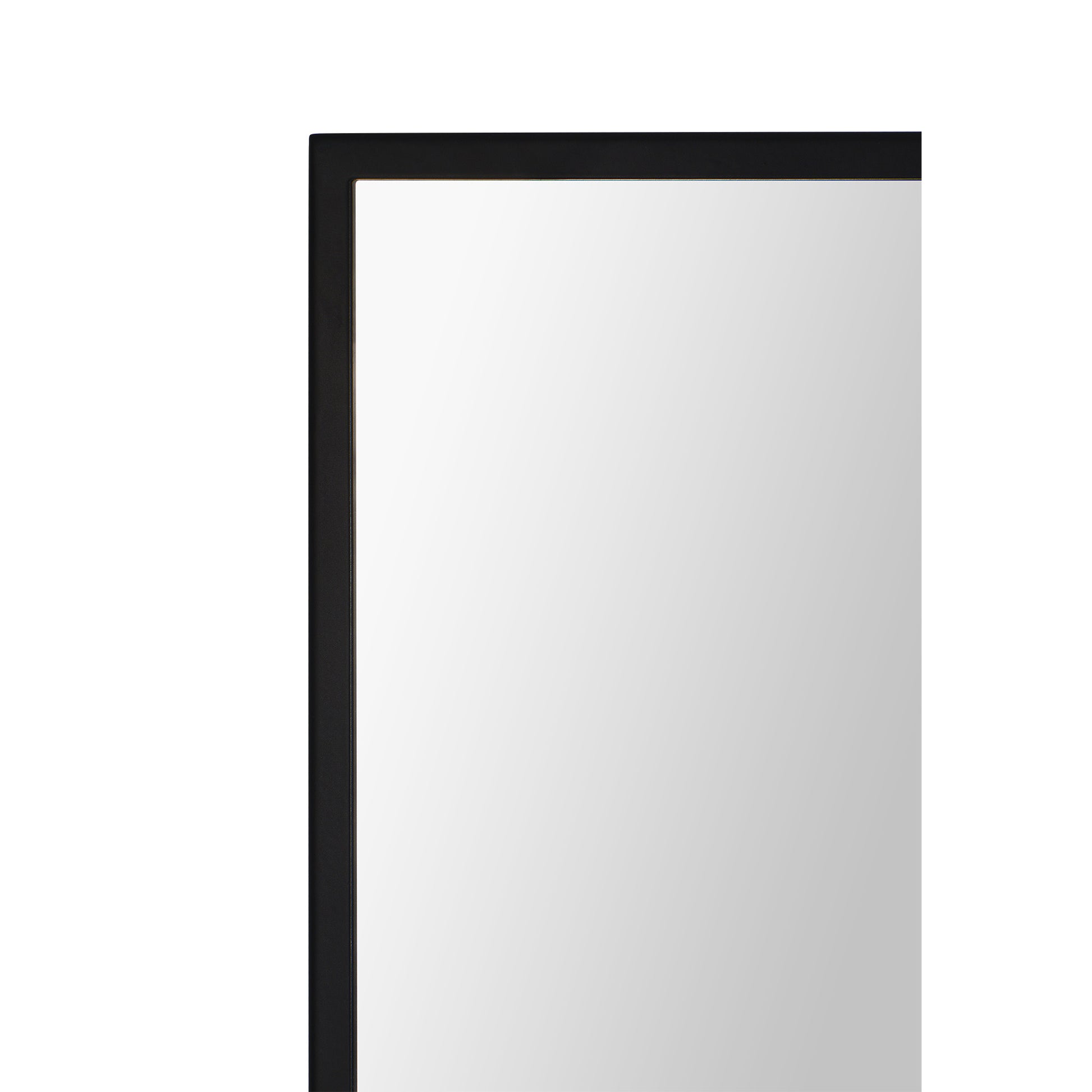 Amara 45" Tall Rectangle Wall Mirror, Black-Mirror-DECOROLALA