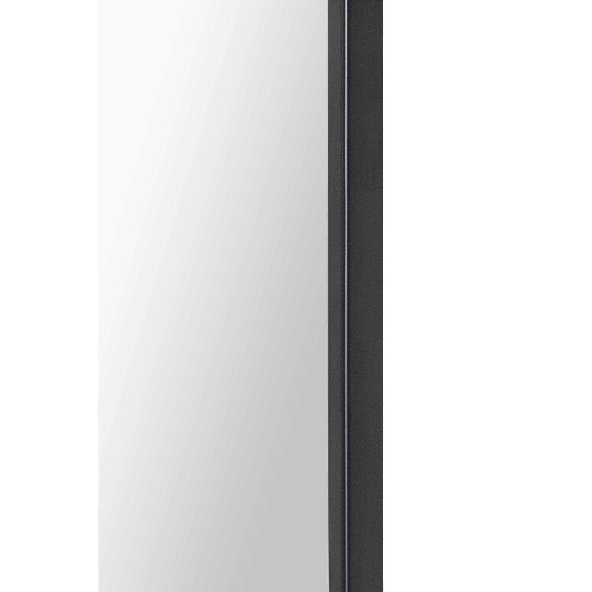 Amara 45" Tall Rectangle Wall Mirror, Black-Mirror-DECOROLALA