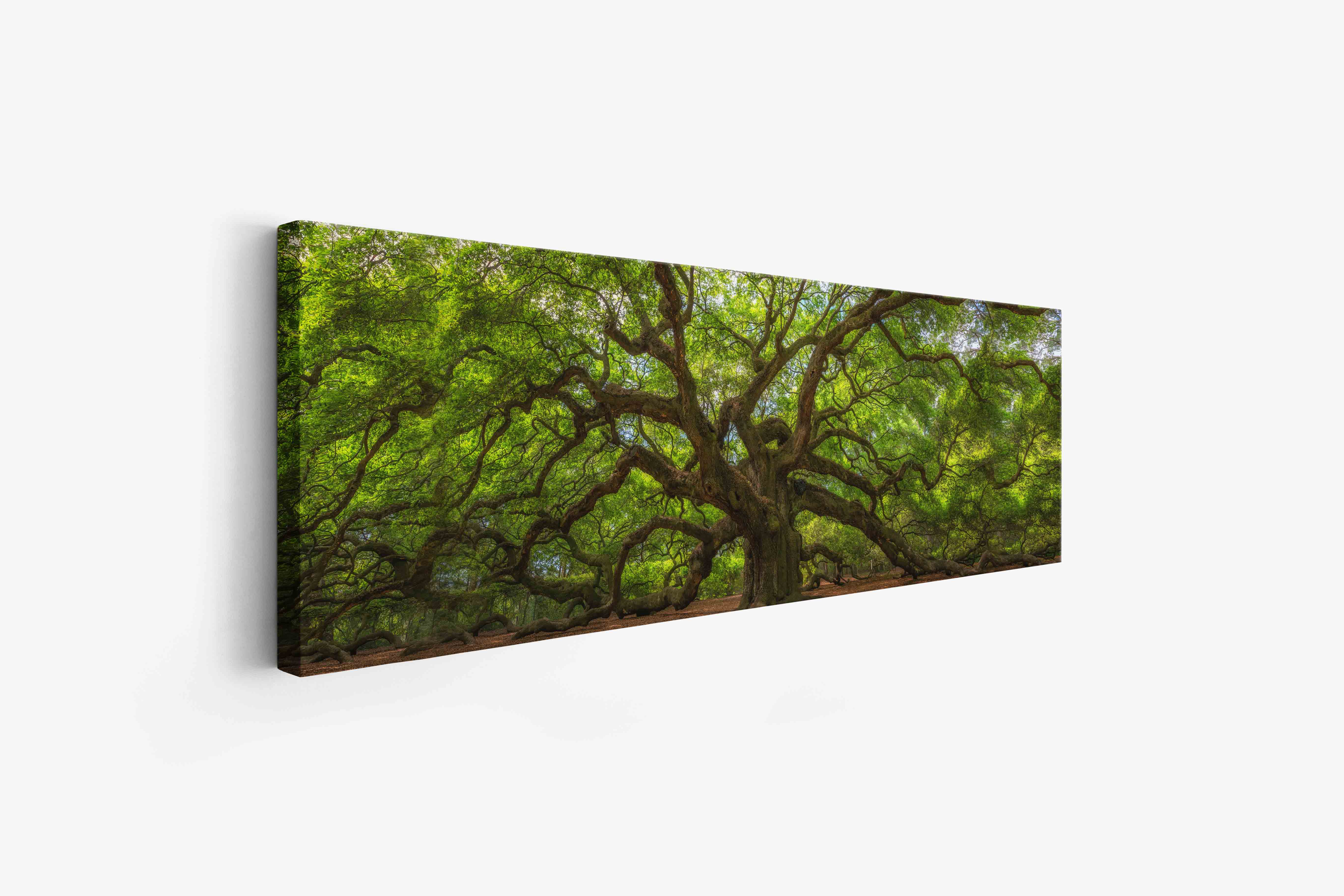 Angel Tree 72" x 24" Canvas Print-Canvas Print-DECOROLALA