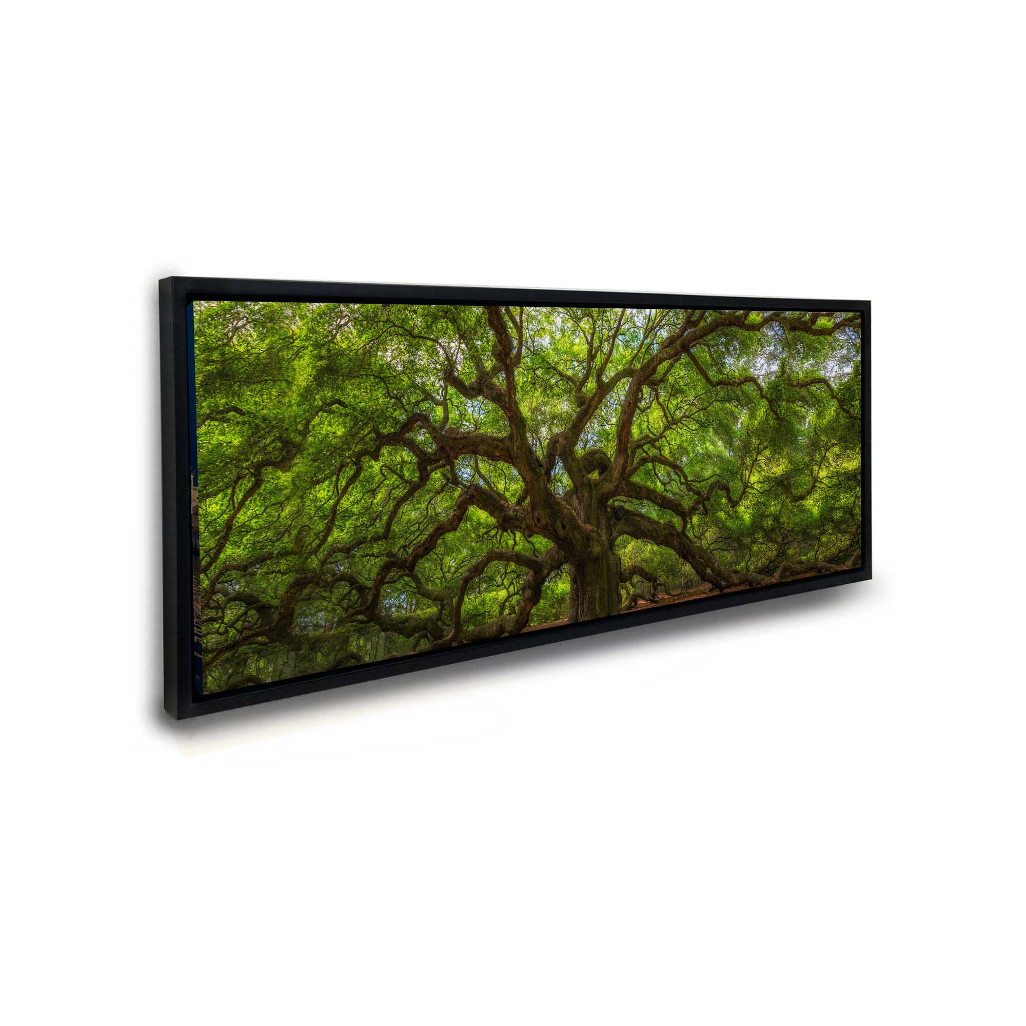 Angel Tree 72" x 24" Canvas Print-Canvas Print-DECOROLALA