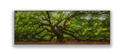 Angel Tree 72" x 24" Canvas Print-Canvas Print-DECOROLALA