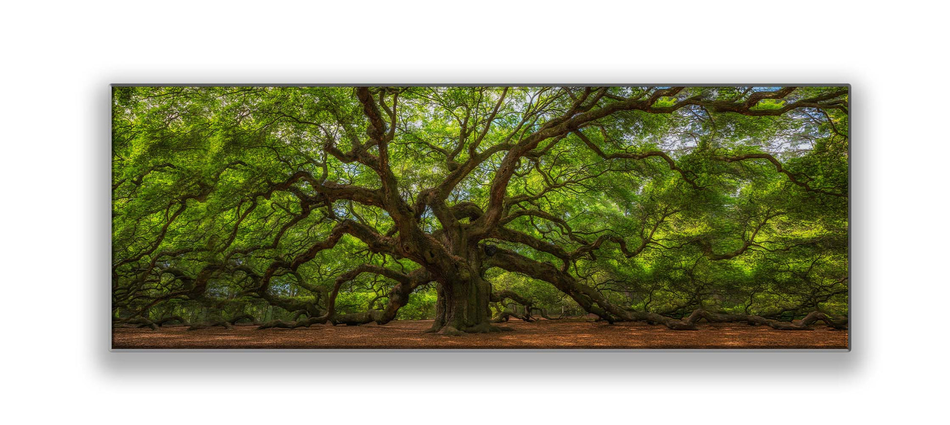 Angel Tree 72" x 24" Canvas Print-Canvas Print-DECOROLALA