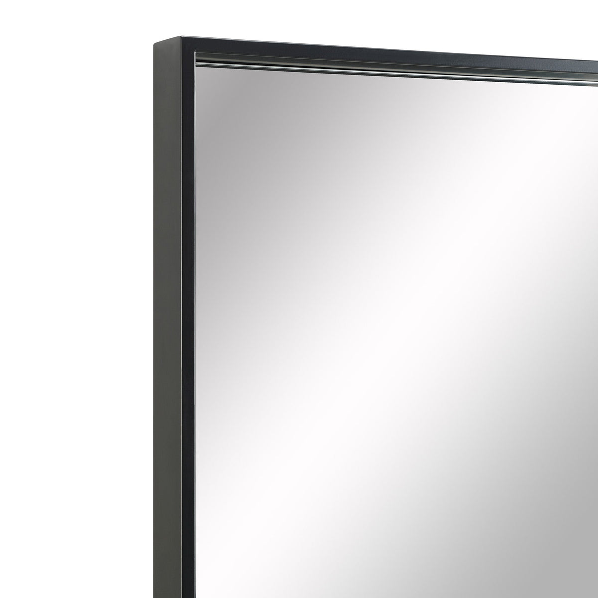 Annalise 45" Tall Rectangle Wall Mirror, Black-Mirrors-DECOROLALA