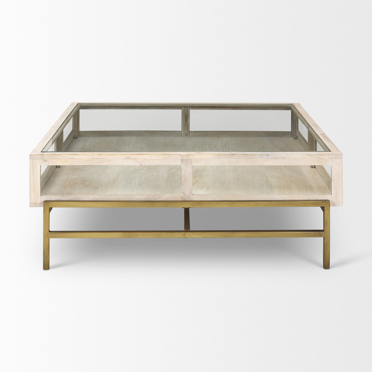 Arelius 42" Square Glass-Top Light w/ Black Metal Base Display Coffee Table-Coffee Tables-DECOROLALA