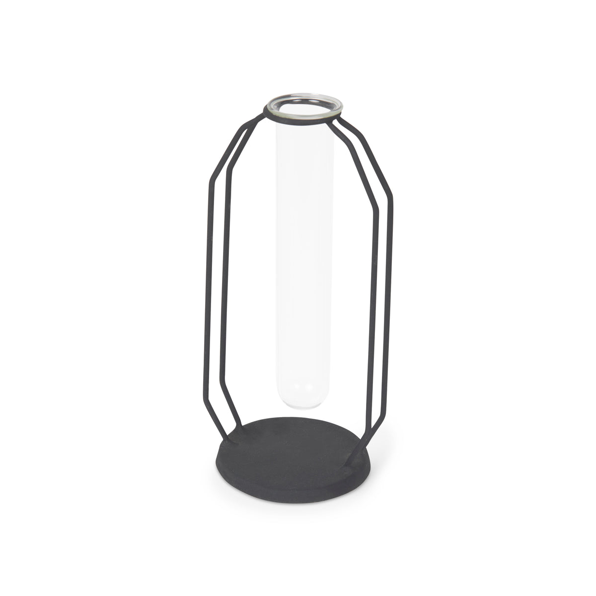 Aria Metal and Glass Arch Frame Decorative Vase - Black 9.6"H-Objects-DECOROLALA