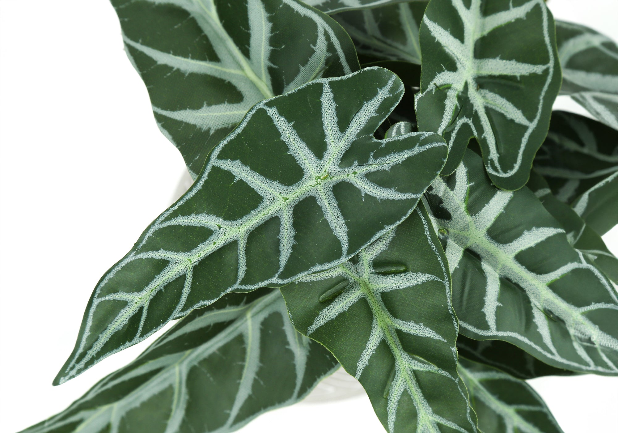 Artificial Alocasia Plants 8"H Set of 2 with Black Pots-Artificial Plant-DECOROLALA