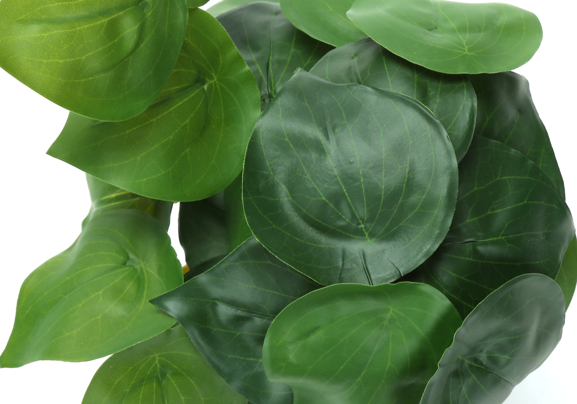 Artificial Alocasia Plants 8"H Set of 2 with Black Pots-Artificial Plant-DECOROLALA