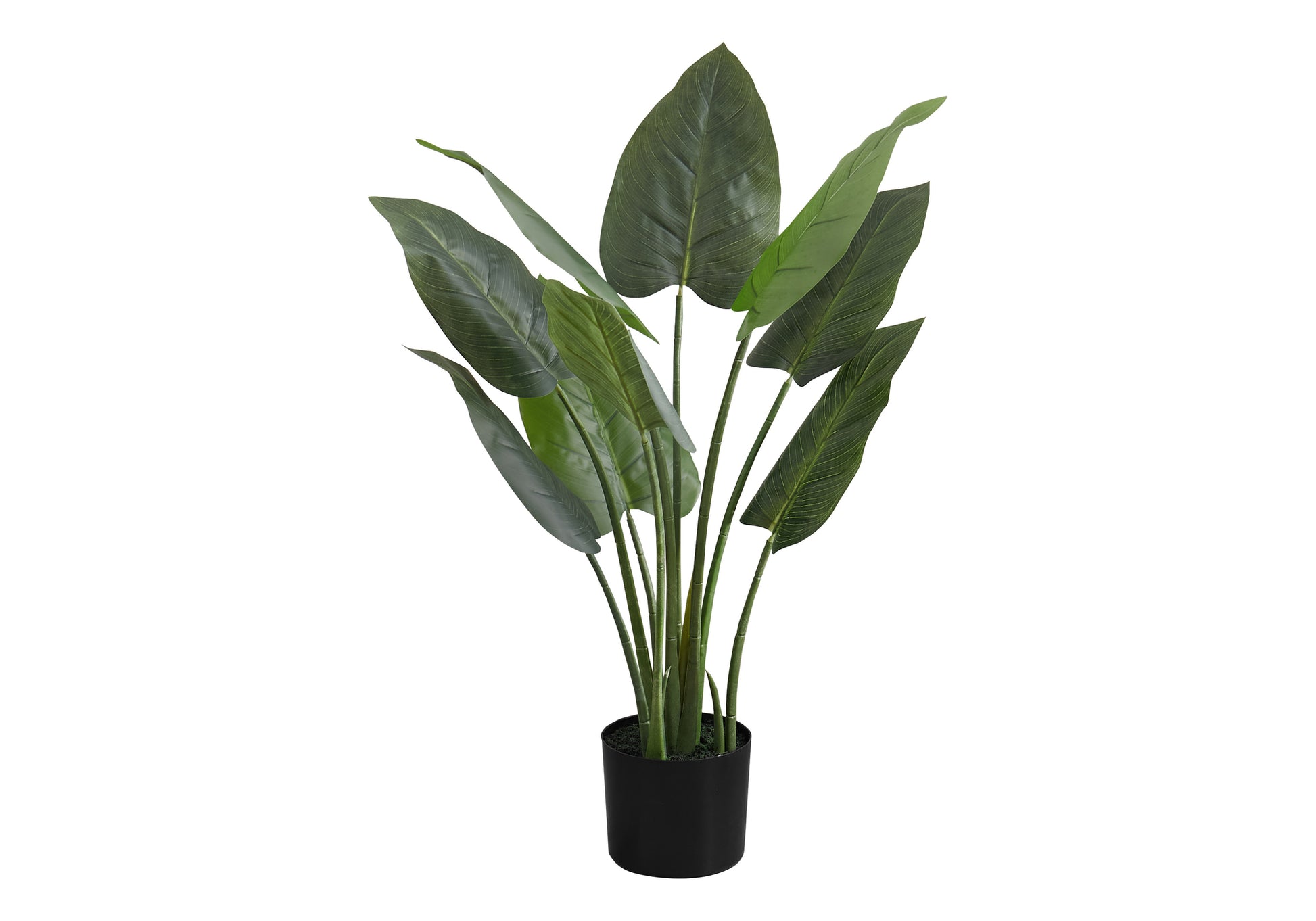 Artificial Aureum Plant 37"H with 6" Black Pot-Artificial Plant-DECOROLALA
