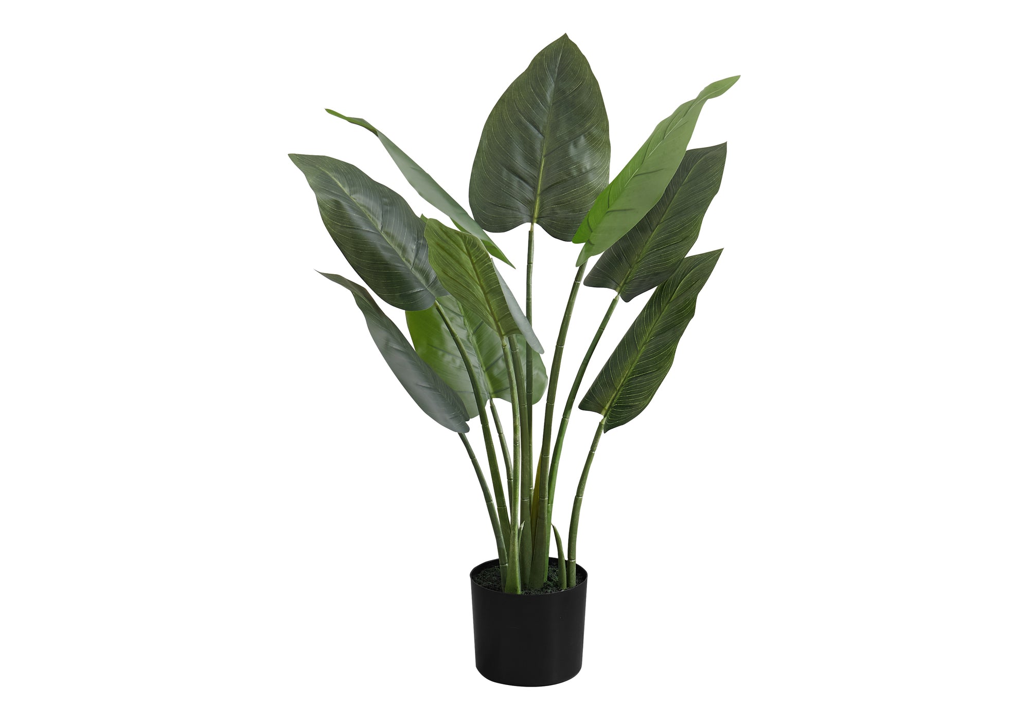 Artificial Aureum Plant 37"H with 6" Black Pot-Artificial Plant-DECOROLALA