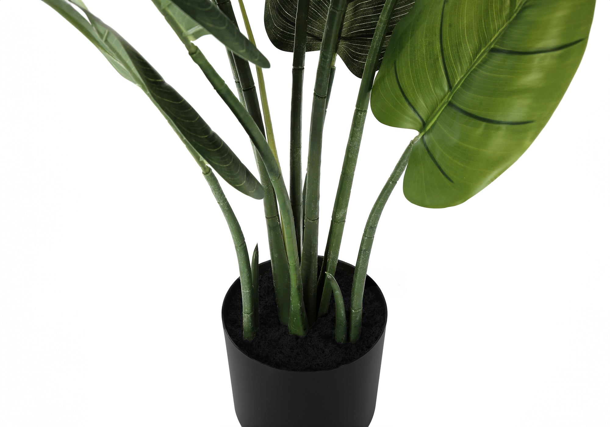 Artificial Aureum Plant 37"H with 6" Black Pot-Artificial Plant-DECOROLALA