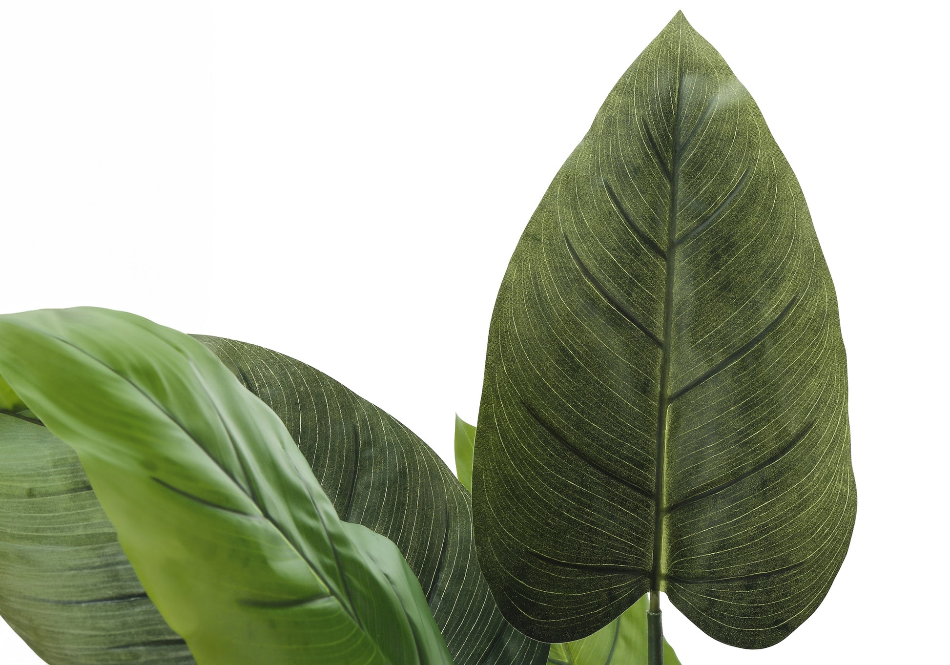 Artificial Aureum Plant 37"H with 6" Black Pot-Artificial Plant-DECOROLALA
