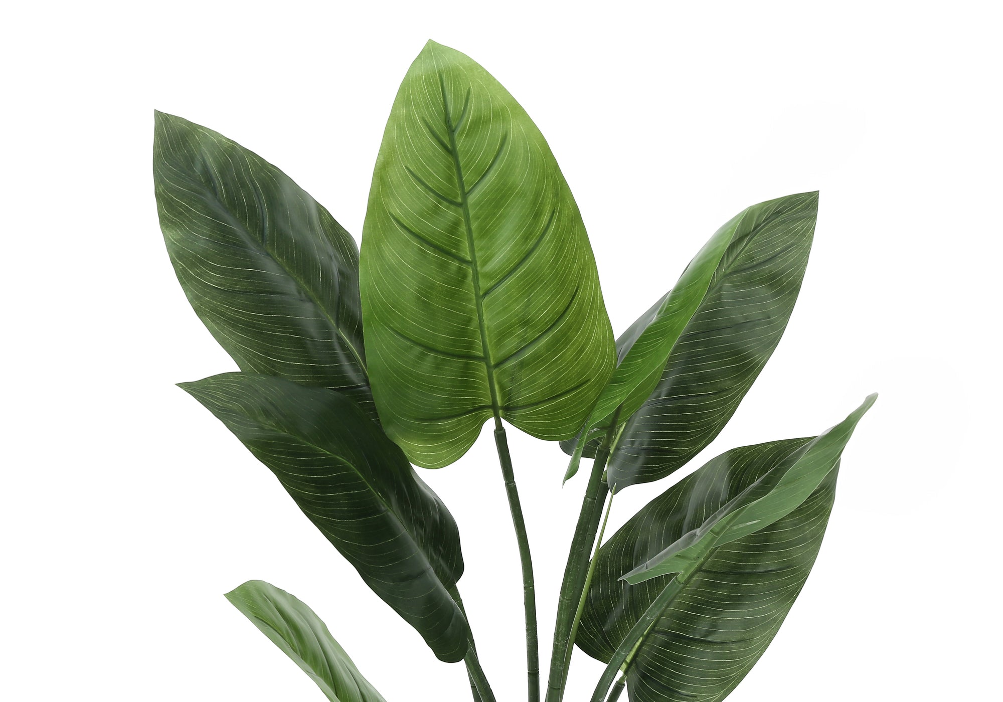 Artificial Aureum Plant 37"H with 6" Black Pot-Artificial Plant-DECOROLALA