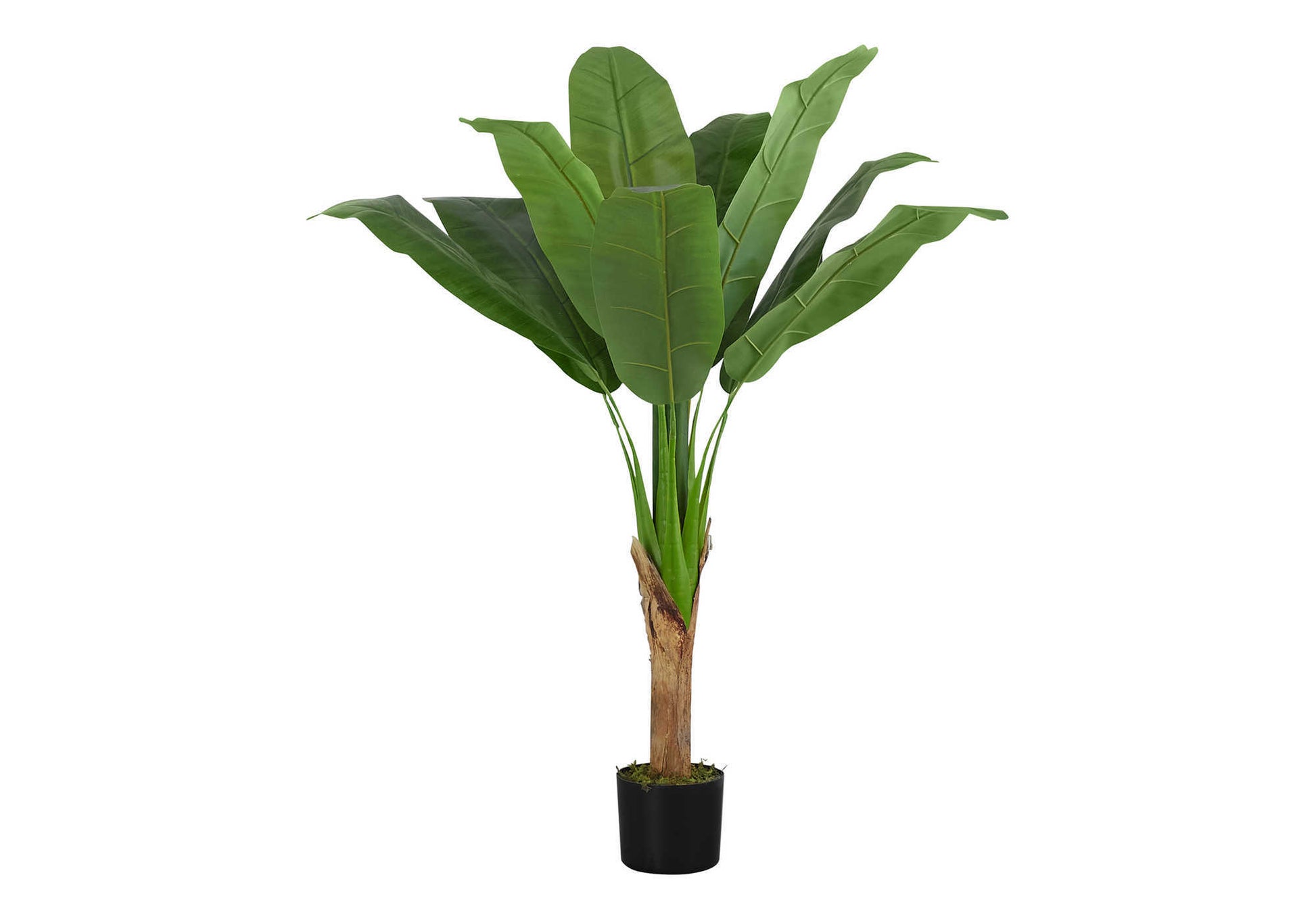 Artificial Banana Tree 43"H - Indoor Faux Plant 5" Pot-Artificial Plant-DECOROLALA
