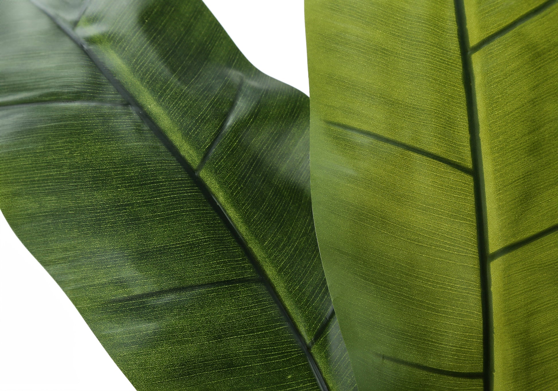 Artificial Banana Tree 55"H Black Pot Indoor Plant-Artificial Plant-DECOROLALA