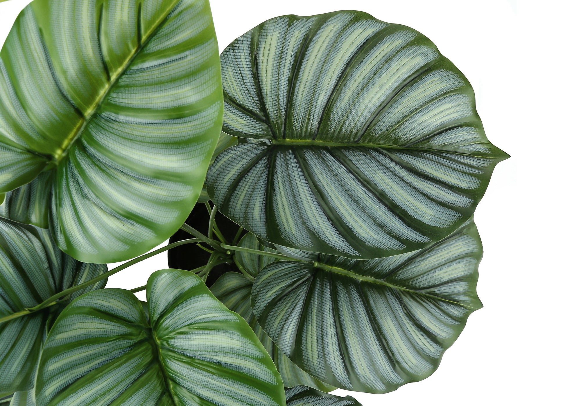 Artificial Calathea Plant 24"H with 5" Pot-Artificial Plant-DECOROLALA