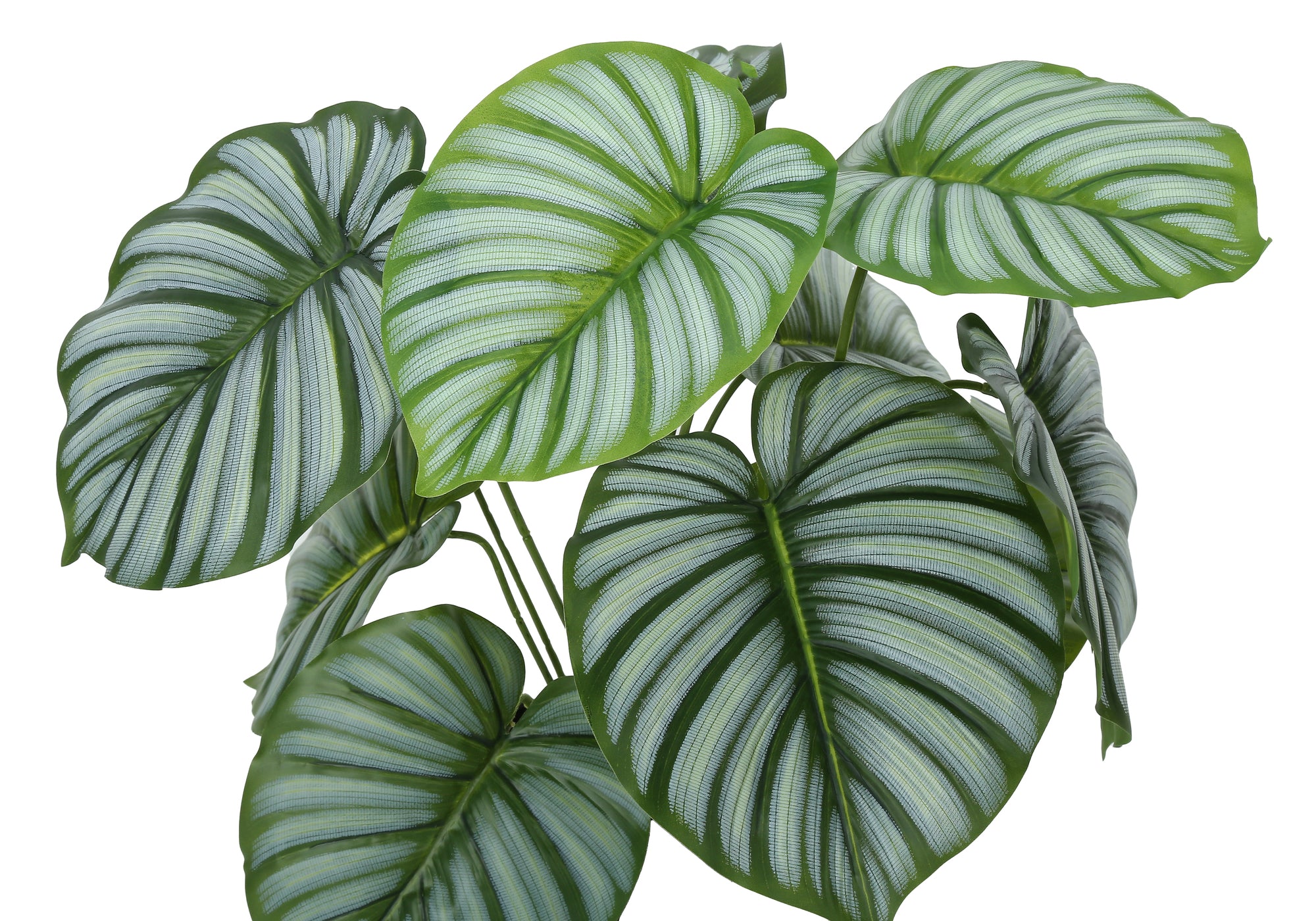 Artificial Calathea Plant 24"H with 5" Pot-Artificial Plant-DECOROLALA