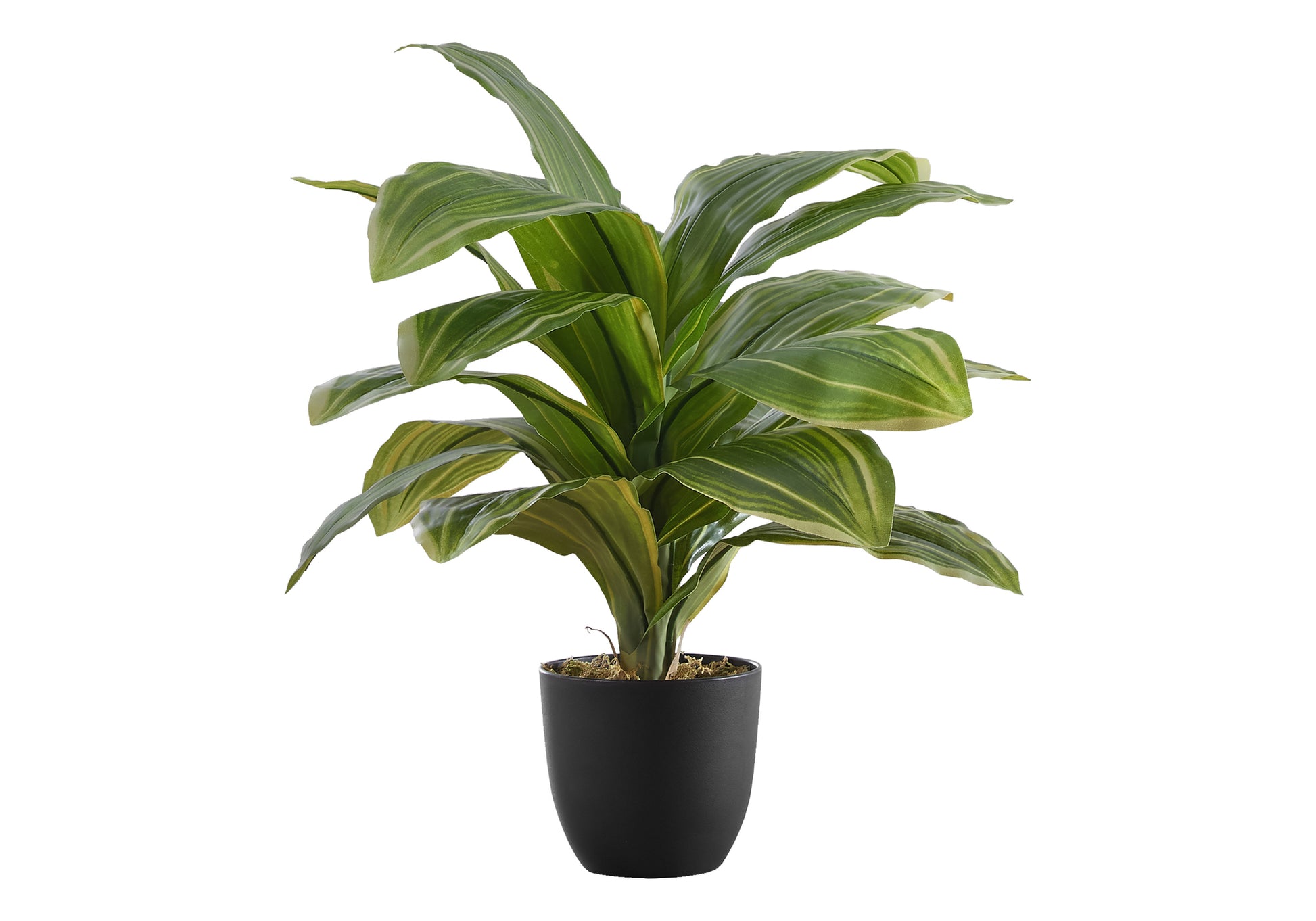 Artificial Dracaena Plant 17" with 4" Black Pot-Artificial Plant-DECOROLALA