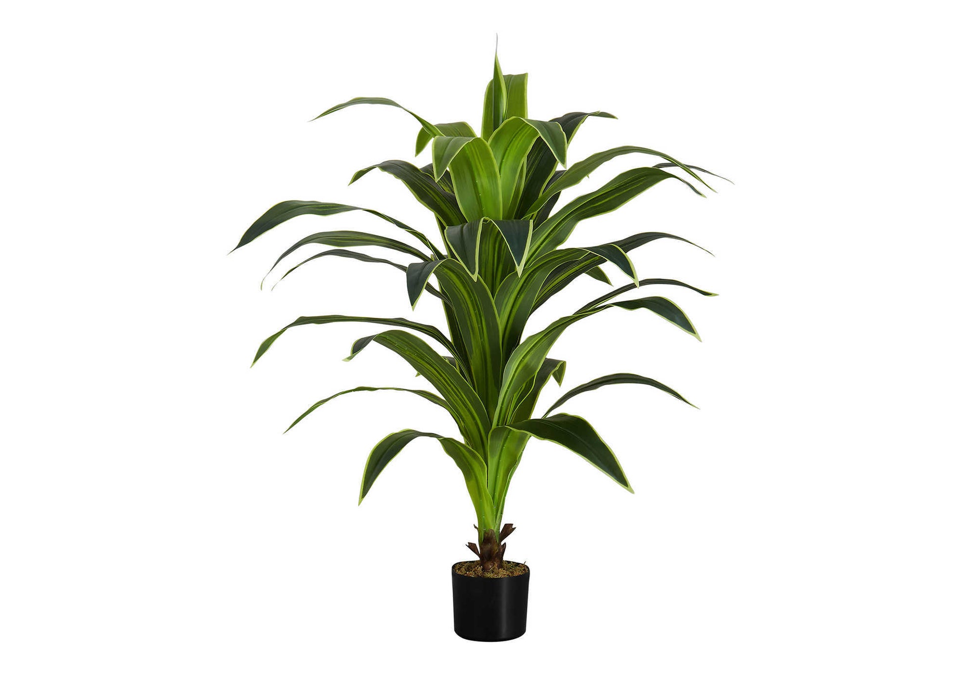 Artificial Dracaena Plant 47"H with 5" Black Pot-Artificial Plant-DECOROLALA