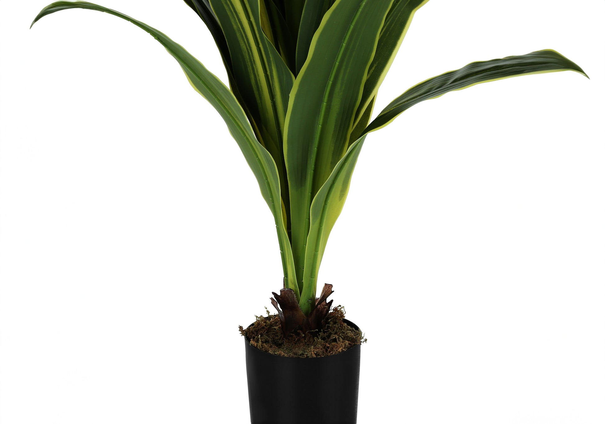 Artificial Dracaena Plant 47"H with 5" Black Pot-Artificial Plant-DECOROLALA