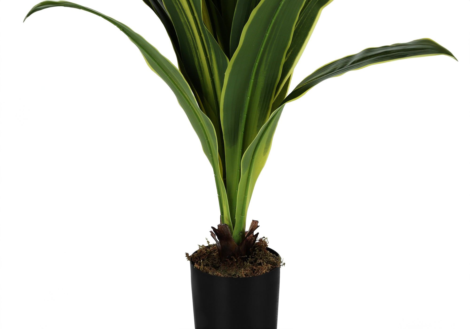 Artificial Dracaena Plant 47"H with 5" Black Pot-Artificial Plant-DECOROLALA