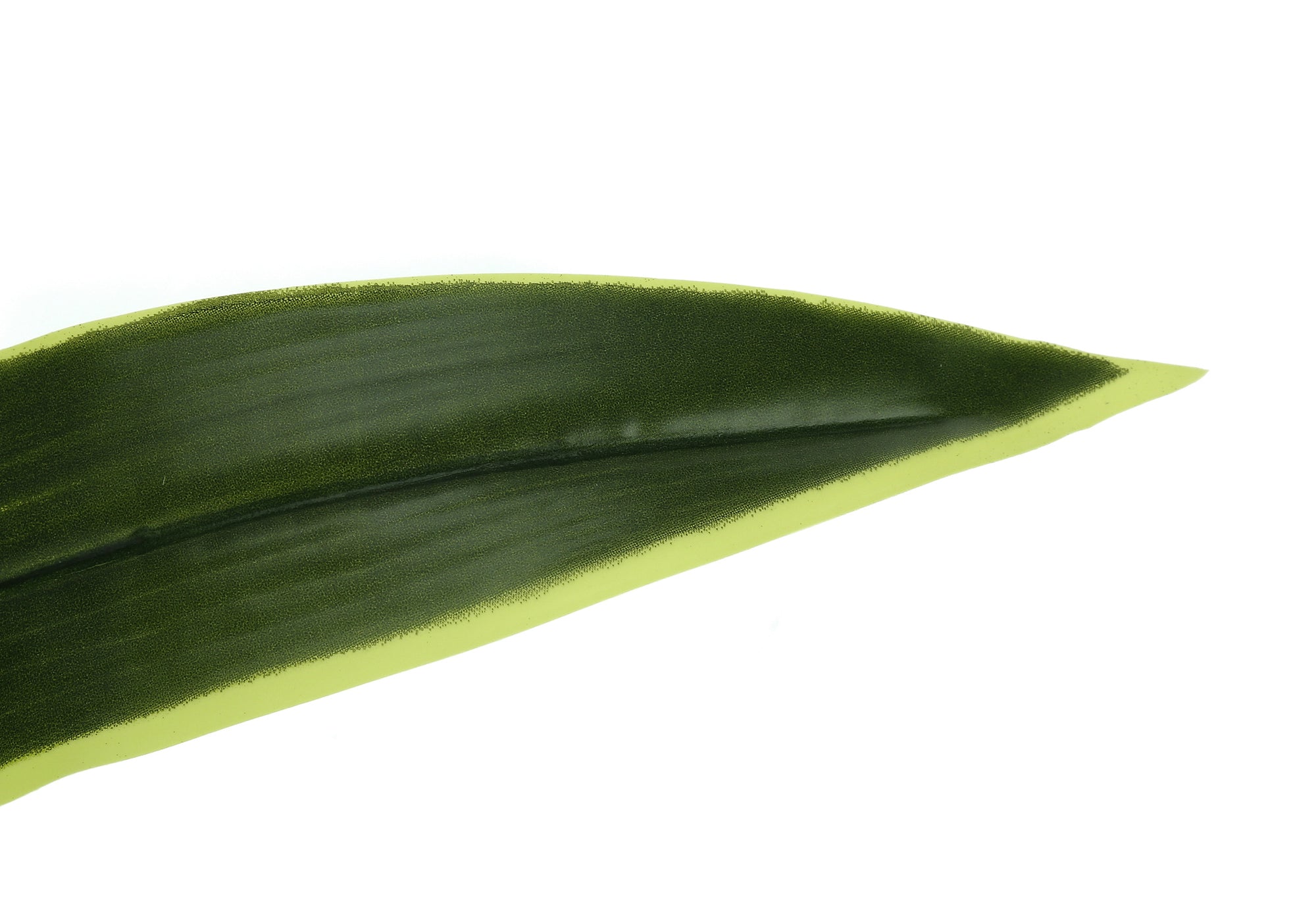 Artificial Dracaena Plant 47"H with 5" Black Pot-Artificial Plant-DECOROLALA