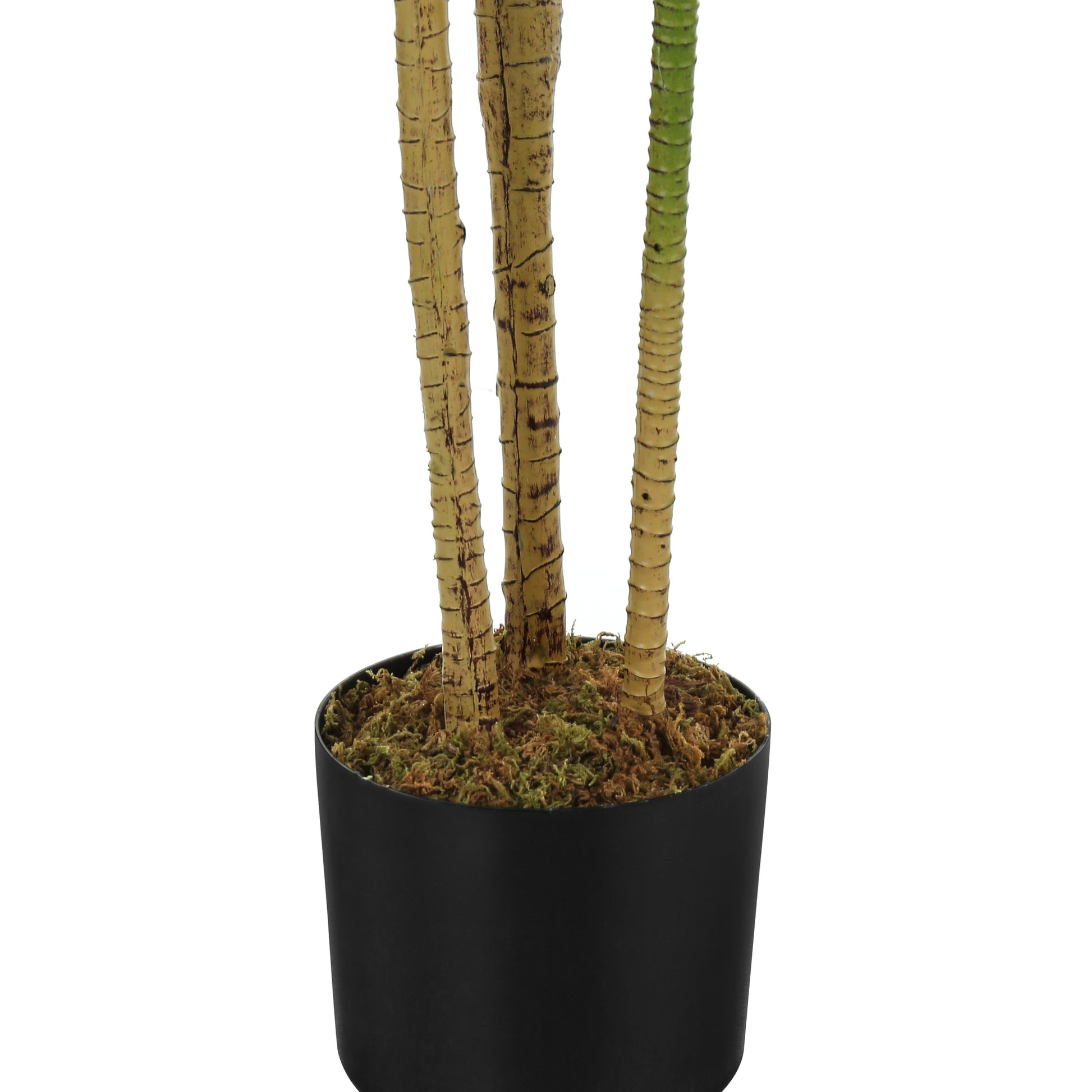 Artificial Dracaena Plant 51"H With 5" Pot-Artificial Plant-DECOROLALA