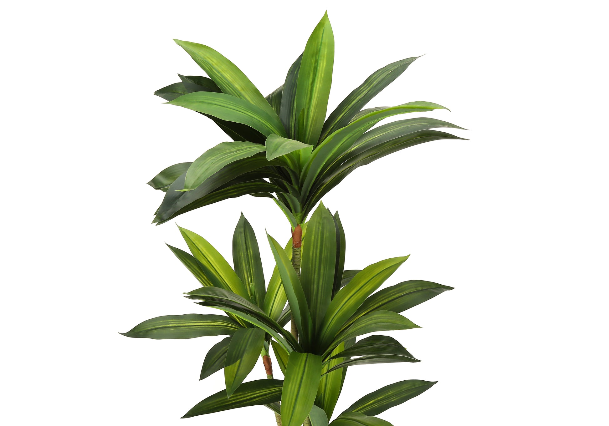 Artificial Dracaena Plant 51"H With 5" Pot-Artificial Plant-DECOROLALA