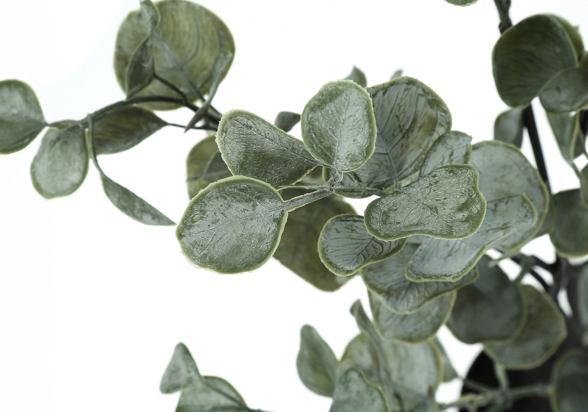 Artificial Eucalyptus Plant 35"H - Indoor Faux Plant-Artificial Plant-DECOROLALA