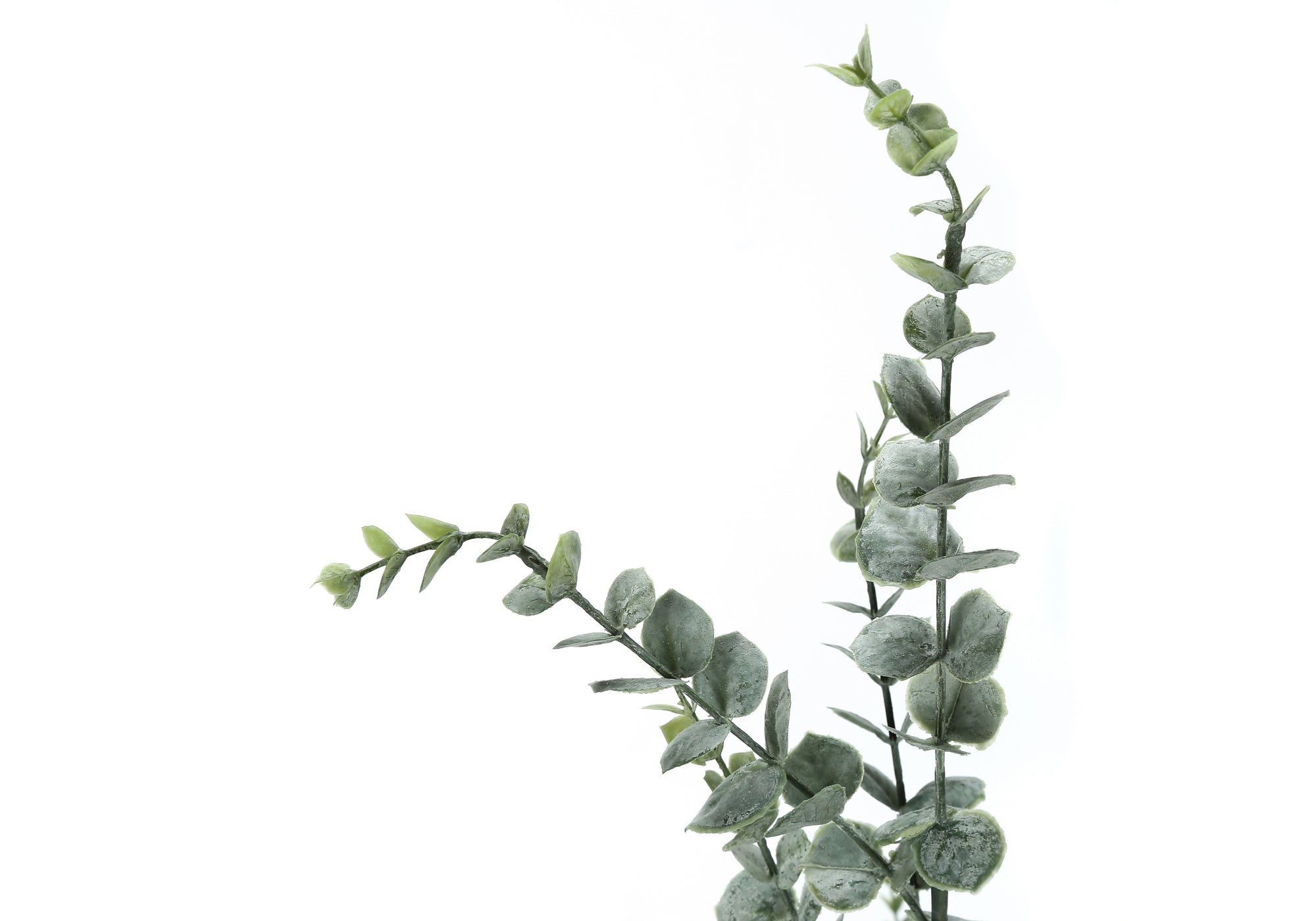 Artificial Eucalyptus Plant 44"H Black Pot-Artificial Plant-DECOROLALA
