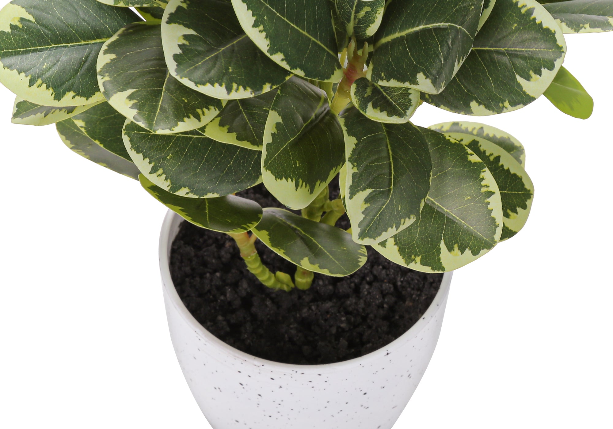 Artificial Ficus Elastica Plant 14"H Set of 2 with 4" Pot-Artificial Plant-DECOROLALA
