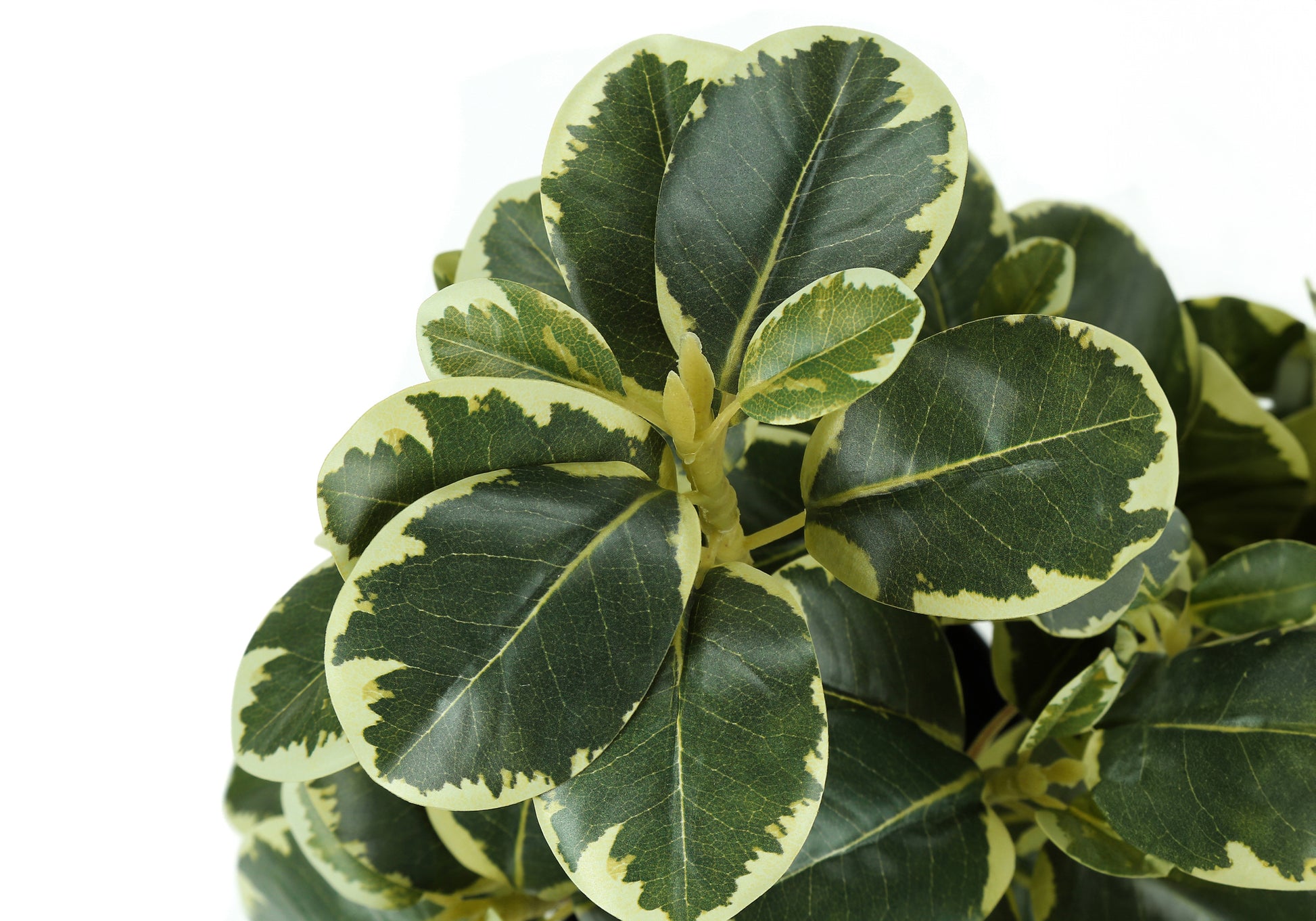 Artificial Ficus Elastica Plant 14"H Set of 2 with 4" Pot-Artificial Plant-DECOROLALA