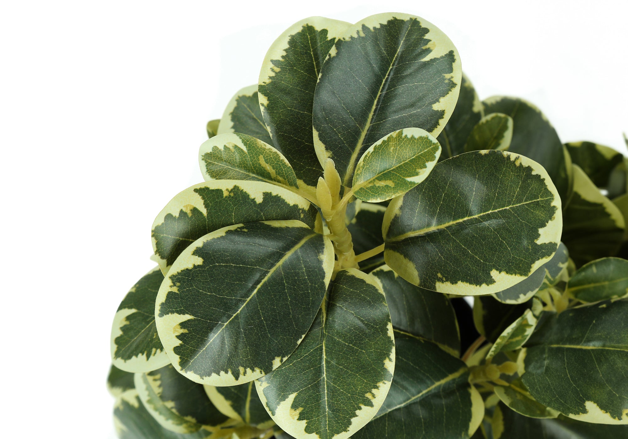 Artificial Ficus Elastica Plant 14"H Set of 2 with 4" Pot-Artificial Plant-DECOROLALA
